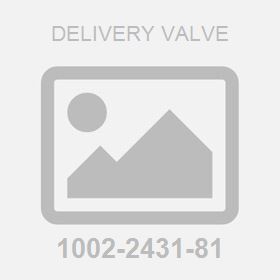 Delivery Valve